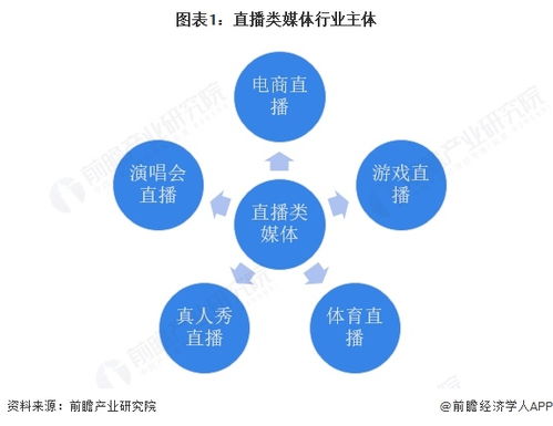 2025年中國傳媒行業(yè)細(xì)分市場分析 技術(shù)賦能與垂類深耕驅(qū)動下的網(wǎng)絡(luò)技術(shù)開發(fā)生態(tài)