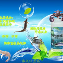 2018水產(chǎn)消毒劑市場(chǎng)行情、報(bào)價(jià)及批發(fā)渠道概覽——聚焦養(yǎng)殖網(wǎng)資訊